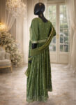 Light Green Chiffon Long Gown Set with Trousers & Scarf – All-Over Handwork-front